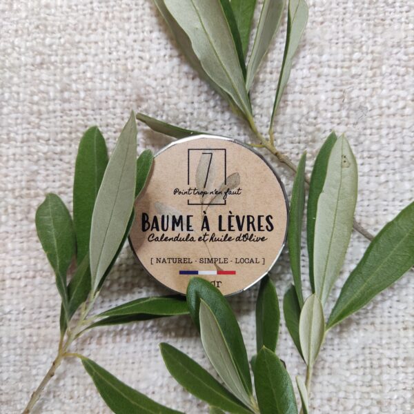 Baume à lèvres - Huile de prune française - lèvres/nez abimés - 10g – Image 2
